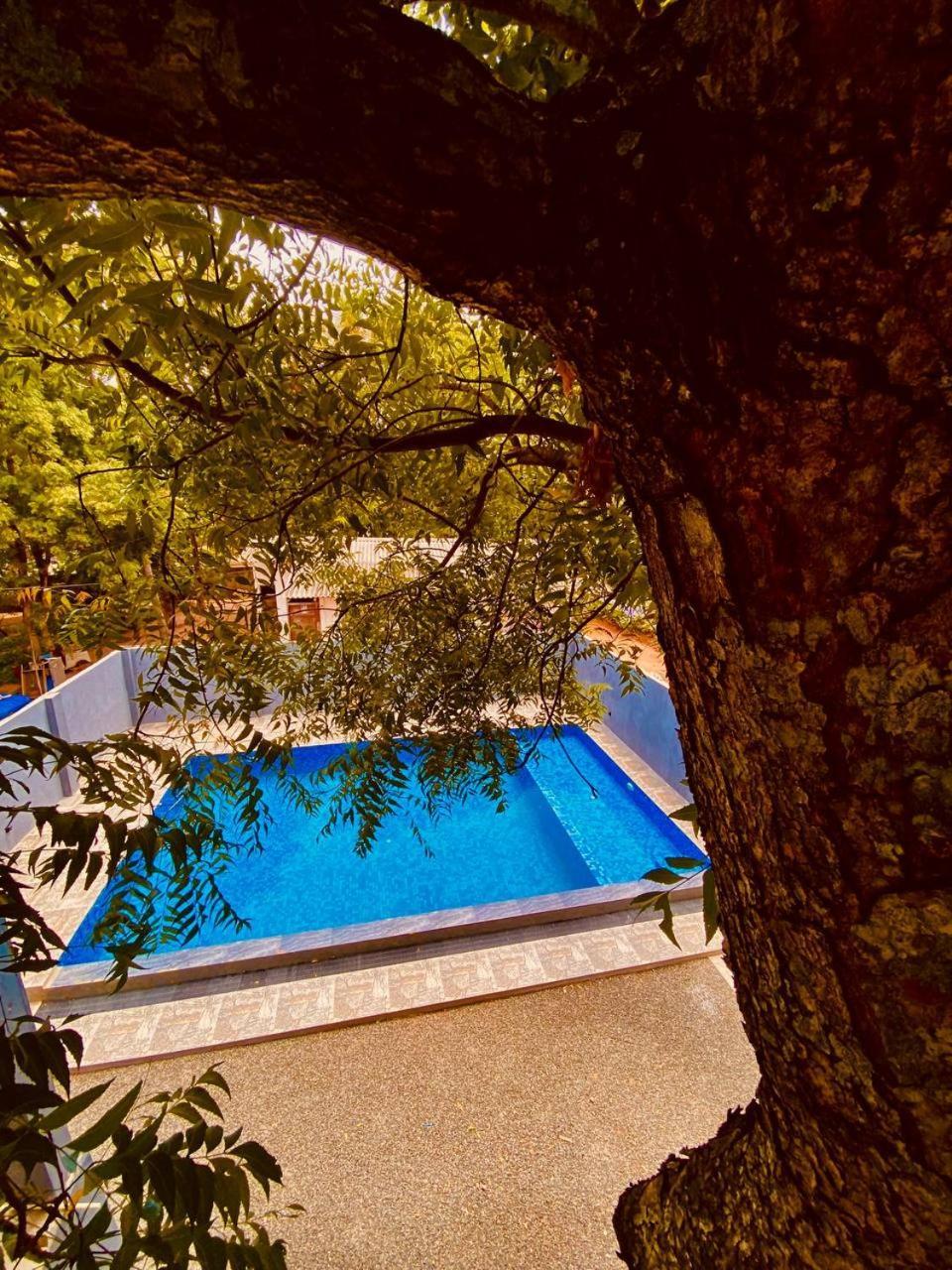 Coffee House Dambulla Hotel Exterior photo